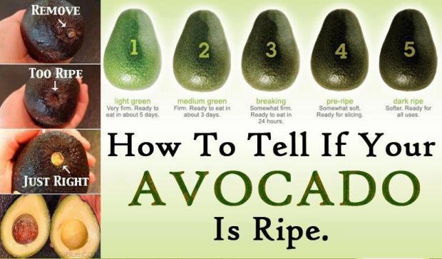 Is your avocado ripe? 