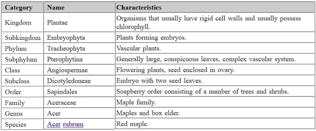 Klasifikasi Organisme Dalam Biosfer