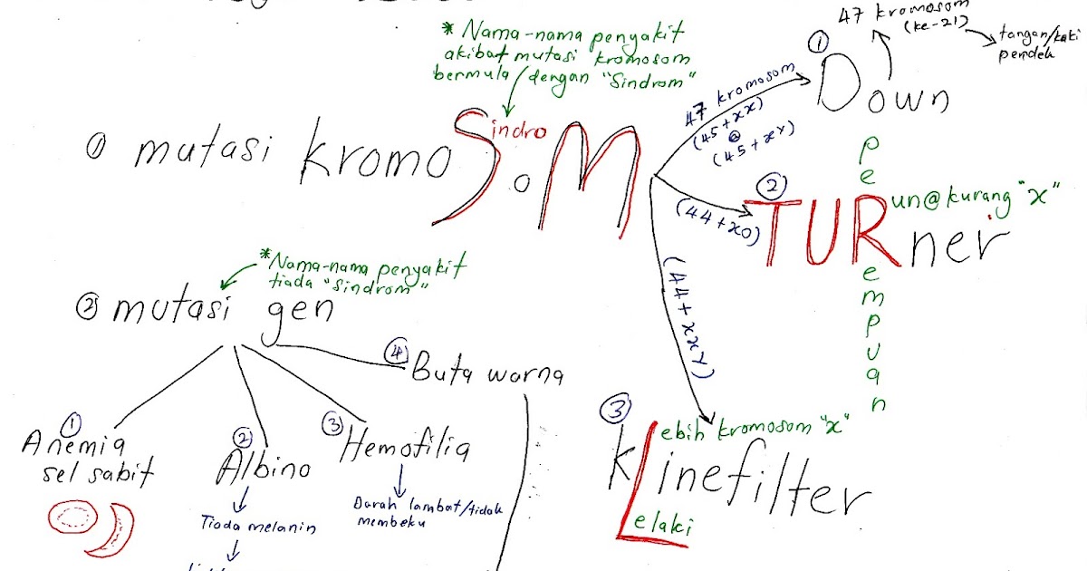 Bijak Tekun Nota Kreatif Biologi Tingkatan 5 Bab 5  Riset