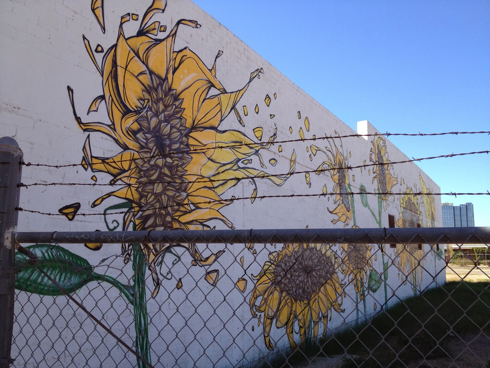 PaperTurtle Phoenix Graffiti Art