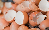 Yumurtanın Kabukları Nerelerde Kullanılır Yumurta Kabuğu Neye Yarar?