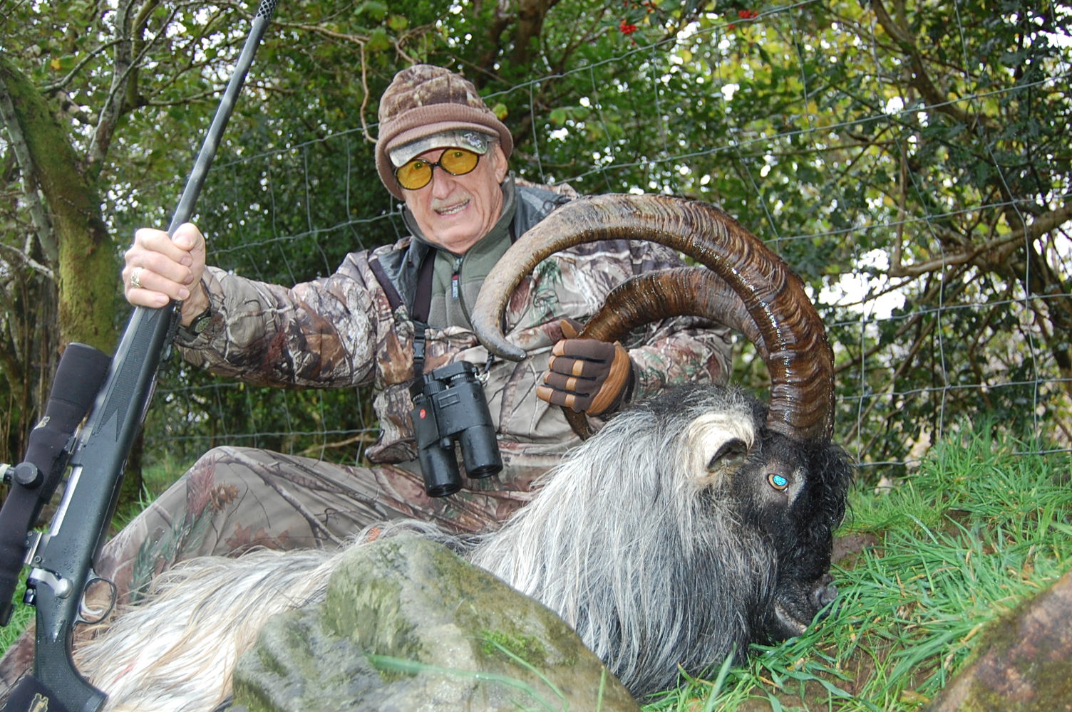 CHICKEN BUCKETS GOAT AND SHEEP HUNTING IN IRELAND by DIAL DUNKIN