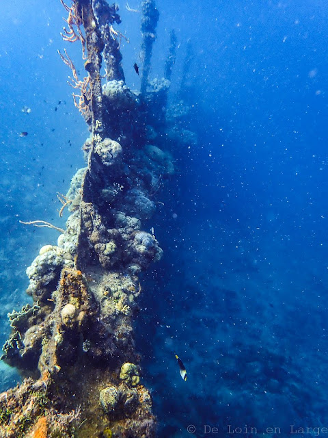 Skeleton Wreck-Coron-Philippines 