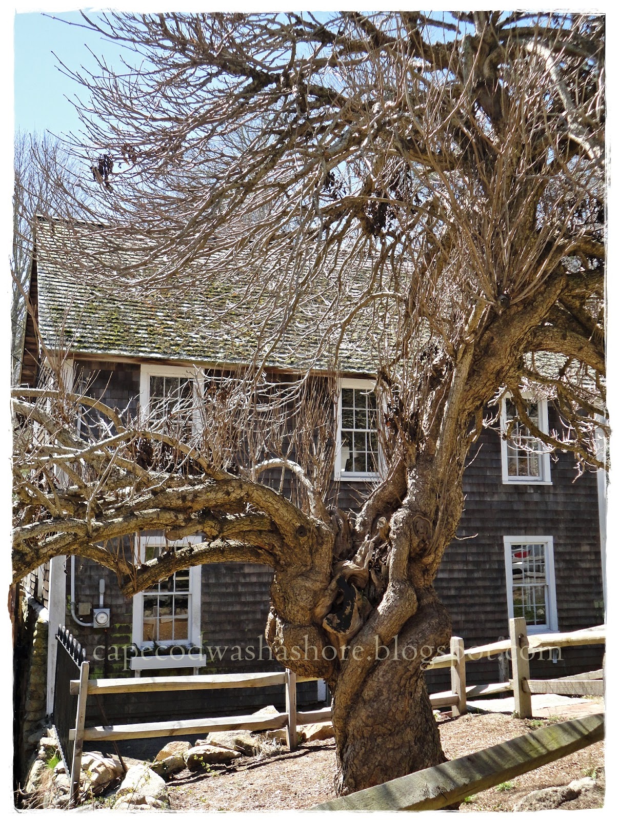 Cape Cod Washashore Stony Brook Grist Mill and Herring Run
