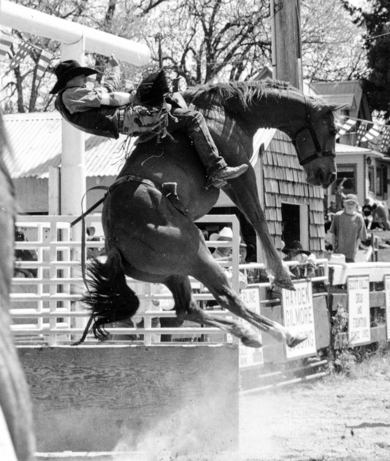 Prairie Rose Publications: It's RODEO Time in Scott Valley ...