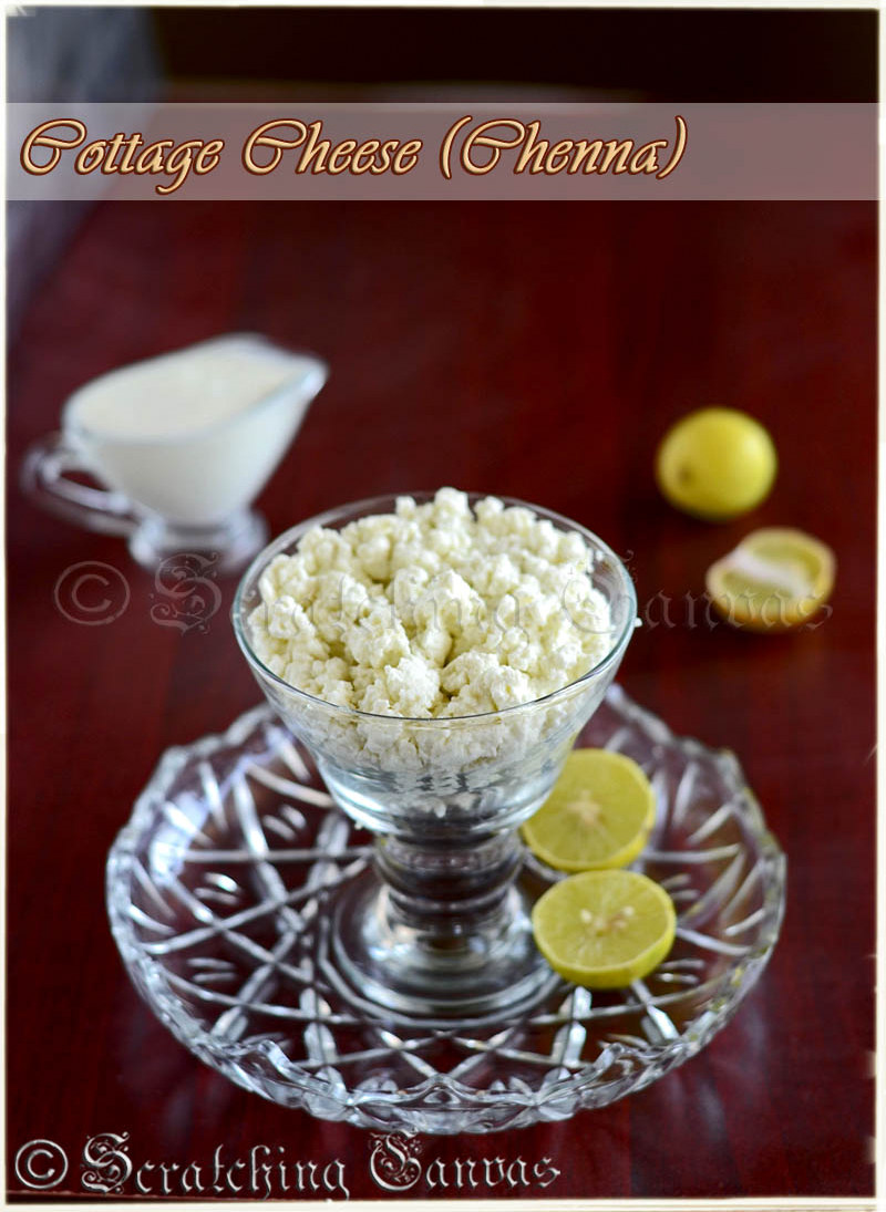 Homemade Cottage Cheese Or Chenna