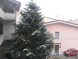 Soveria Simeri Snow