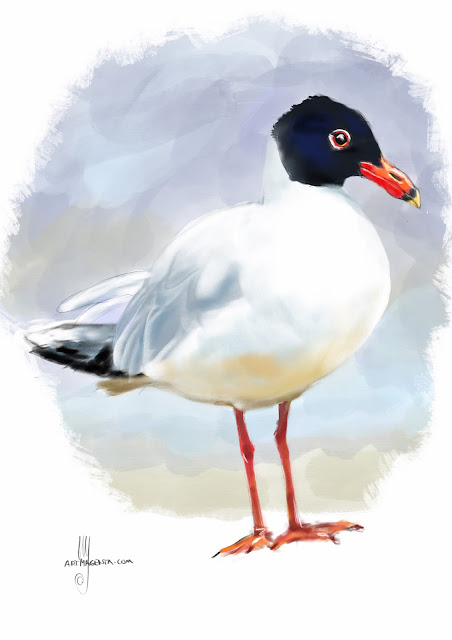 Mediterranean gull bird painting by Artmagenta