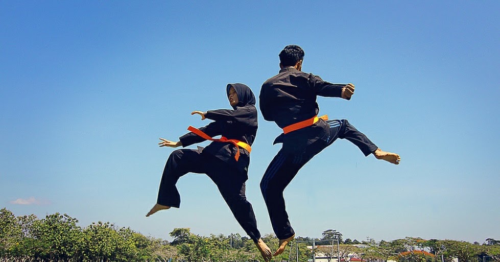 Mengenal Organisasi Pencak Silat Indonesia Mengenal Organisasi Pencak Silat Indonesia