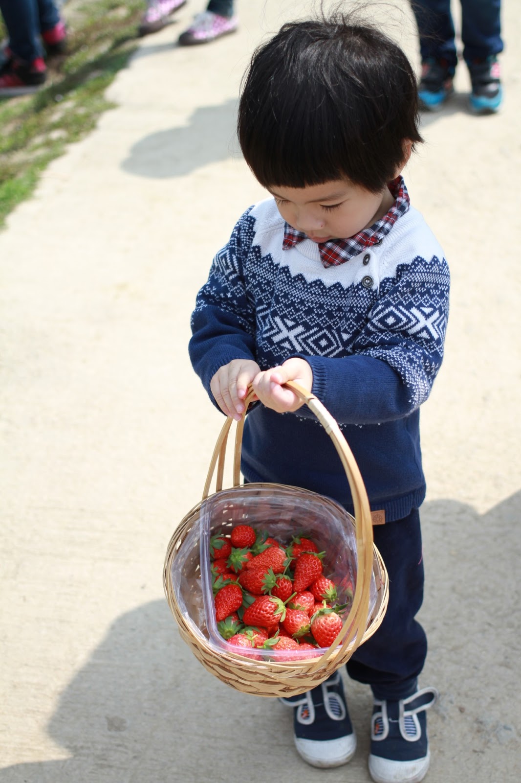 MochachocolataRita Weekend Fun Strawberry Picking, Kam Tin Country