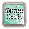 Distress oxide - CRACKED PISTACHIO