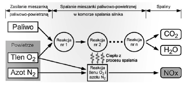 Biologia - nauka o życiu: Azotowce.