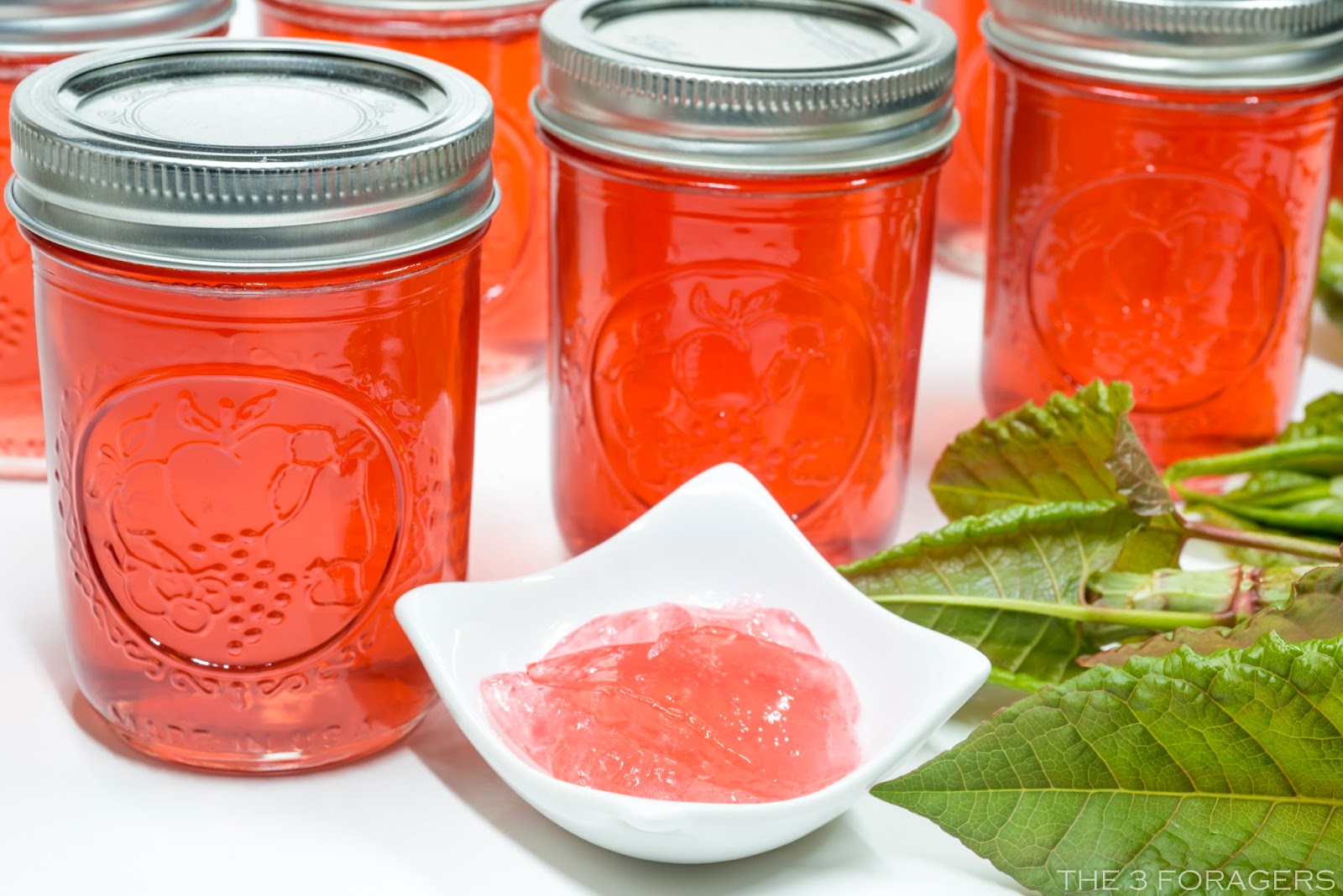 The 3 Foragers Foraging for Wild, Natural, Organic Food Japanese