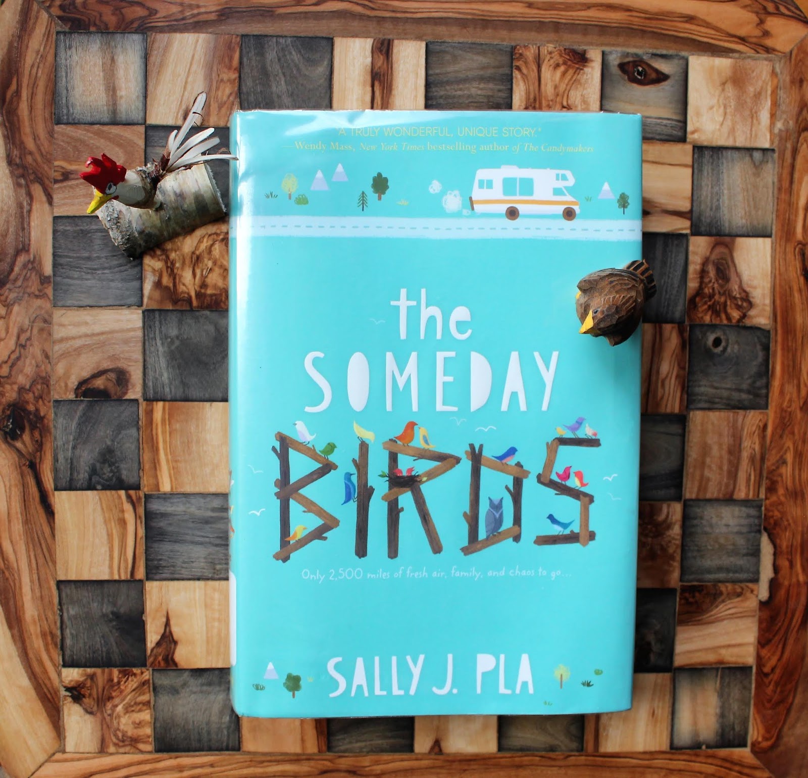 Word Storm Reading Military Brat Edition