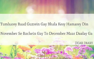 dear diary se images shayari and love quotes-8 dear diary se images shayari and love quotes-8