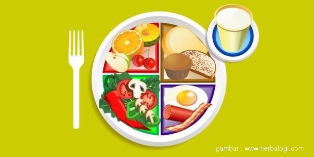 6 Manfaat Makanan Sehat dan Bergizi Bagi Tubuh - blog mas hendra