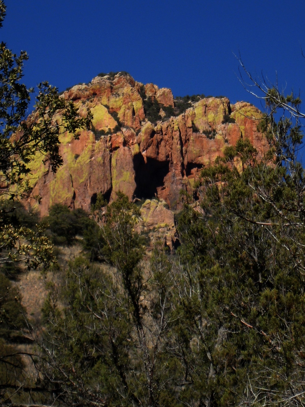 Living Rootless Cave Creek Canyon, Arizona Shining Colors