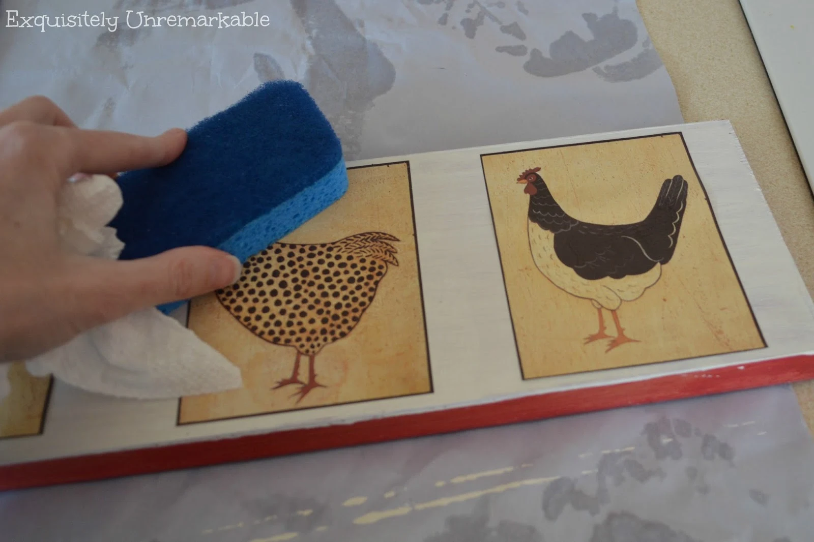 How To Apply Rooster Wallpaper Stickers 