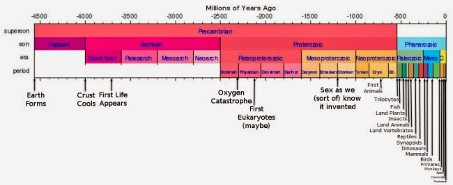 Full Linear Timeline of Life on Earth