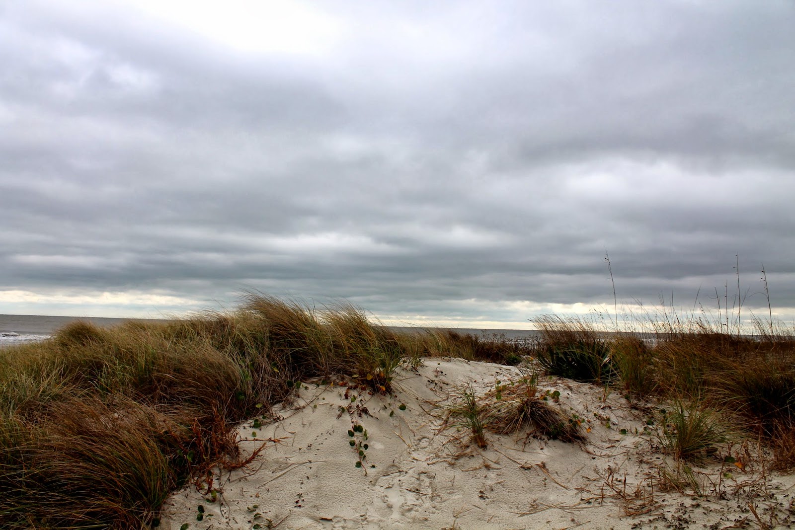 Thanksgiving lunch etiquette