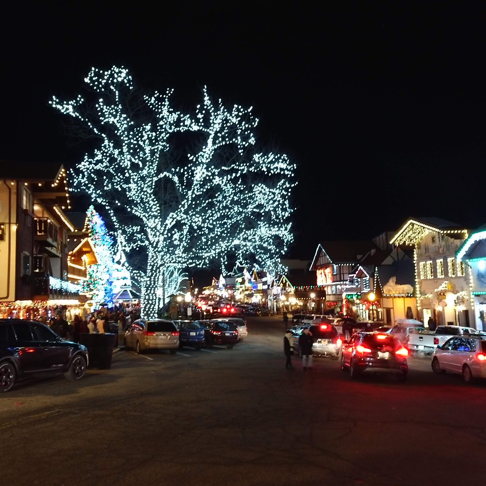 Leavenworth Lights