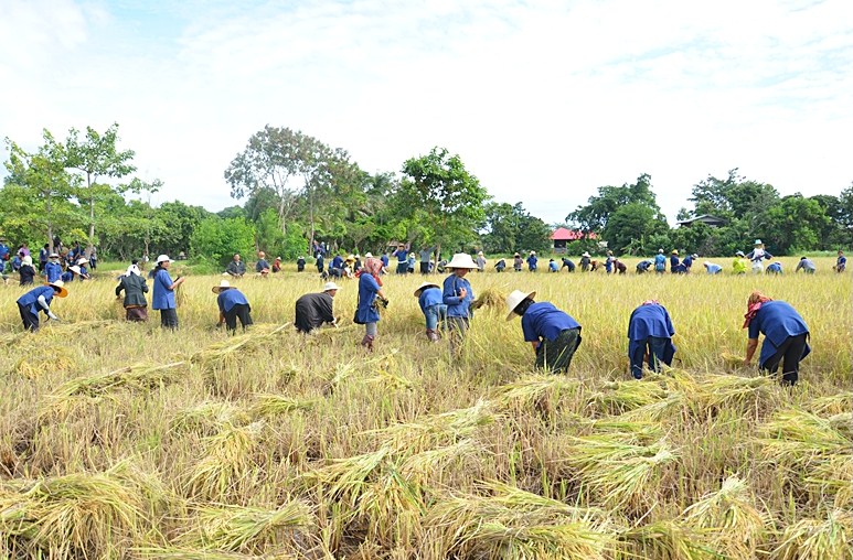 Mahasarakham University International Relations Newsletter RICE