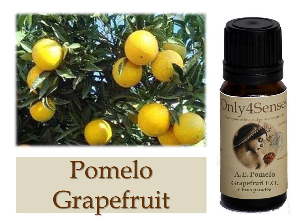 Antonia Jiménez Aroma Sense Aromaterapia 05. ACEITE ESENCIAL DE POMELO Indicado en dietas