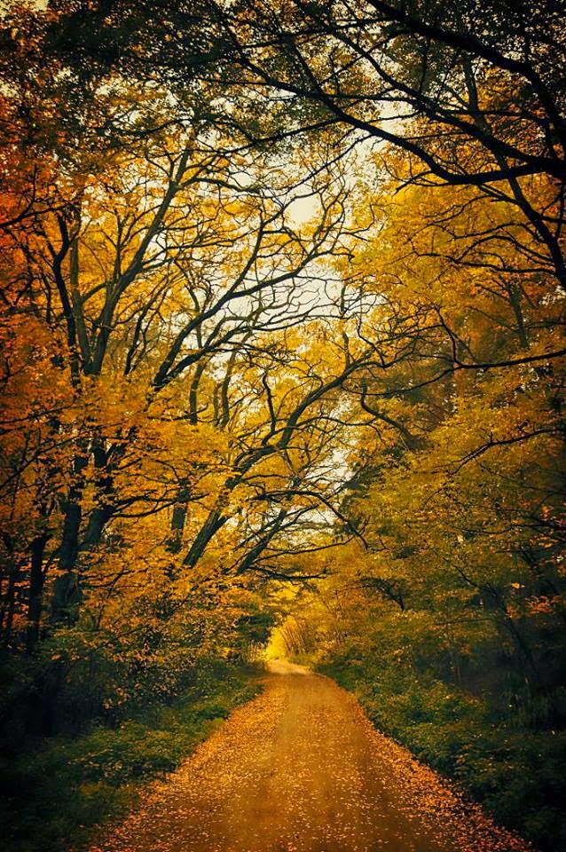 صور ساحرة مأخوذه من أجمل أماكن الطبيعة,,