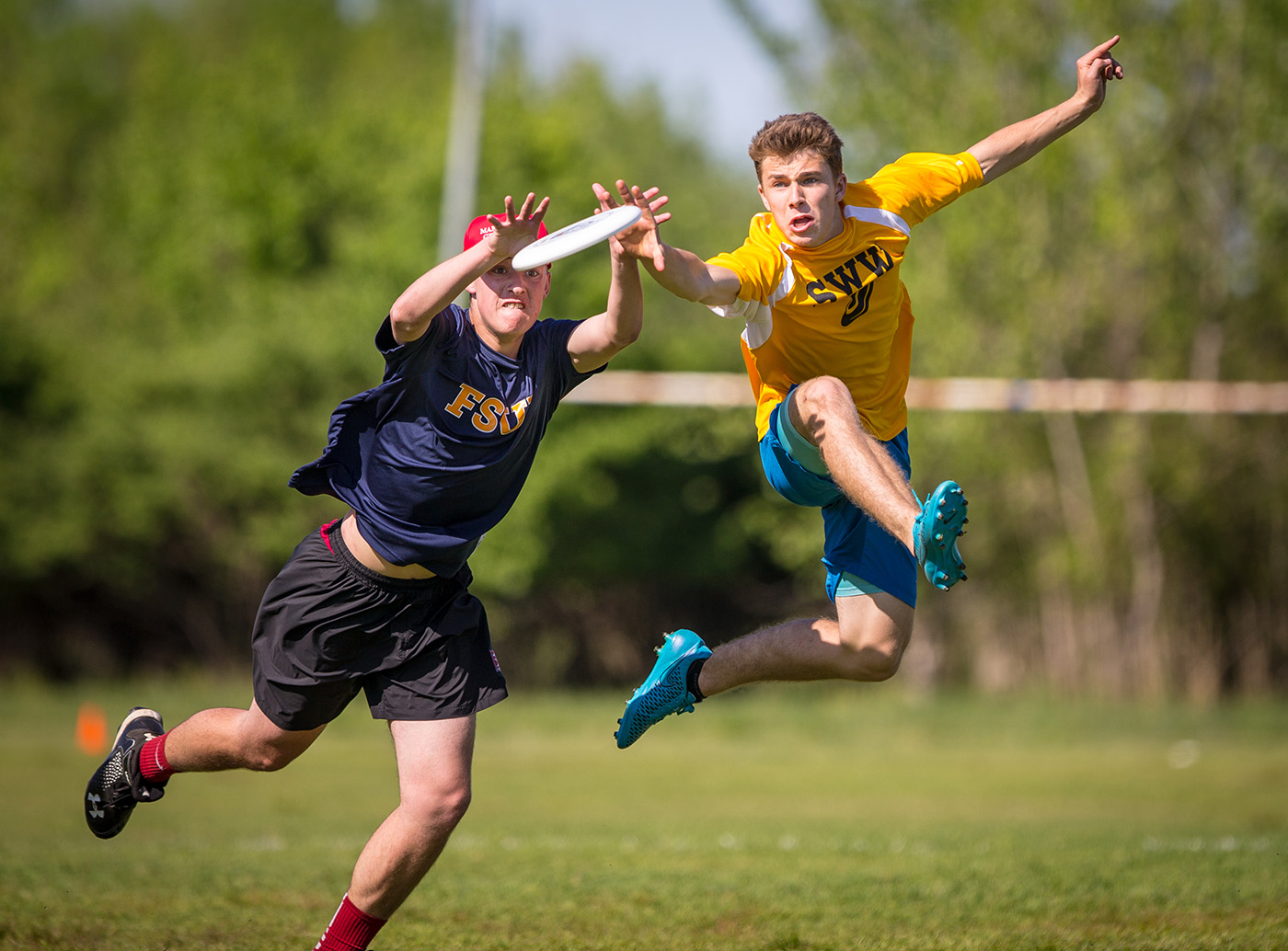 [7º Ano] MATERIAL DE ESTUDO 2º Bimestre de 2019 Ultimate um