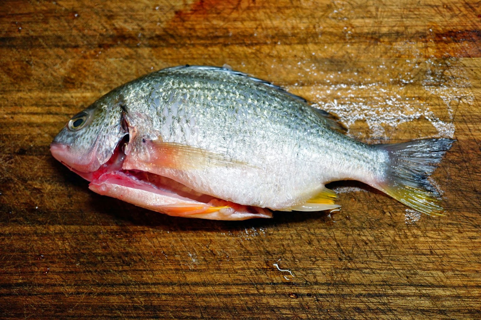 OL醉愛廚房: 日式立魚飯