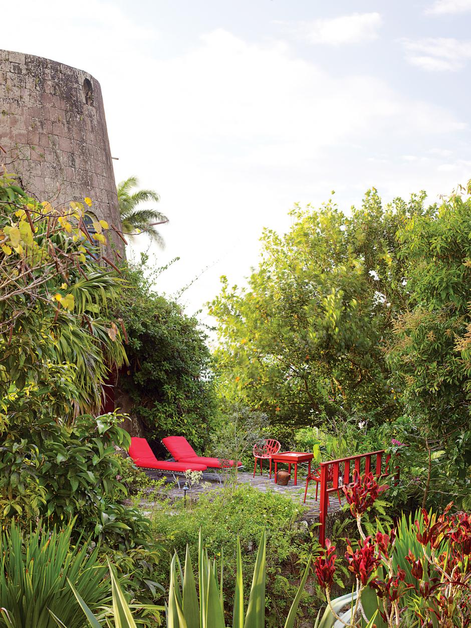 LA CYCA Jardinería: Diseño de jardines: El jardín tropical del Golden