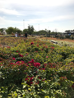 Alshaheed park