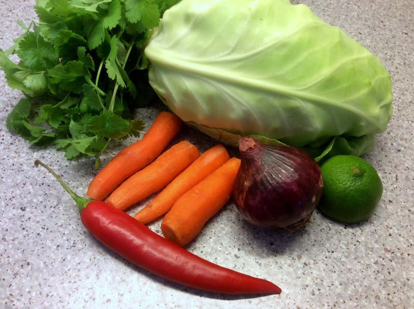 Anne Naturglad Tortilla wraps med kål, kylling og avocado