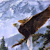Eagle Computer Wallpaper