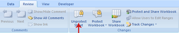 حماية ورقة Excel