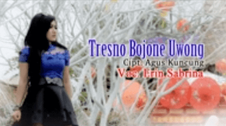 Lirik Lagu Tresno Bojone Uwong - Erin Sabrina