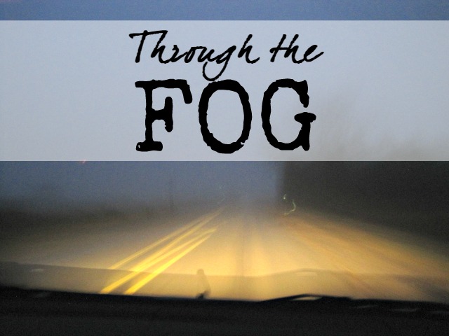 Life feels foggy lately. We can't see what's coming up next, and we're afraid of hidden dangers. But there's one big difference for those of us who know Christ.... | The Speckled Goat