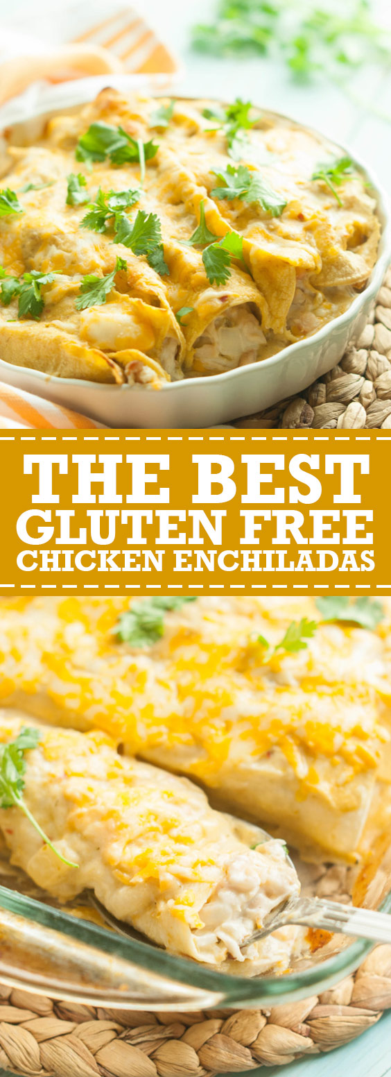 The Best Gluten Free Chicken Enchiladas - Id-newstimes