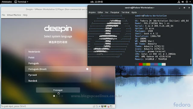 VMware Workstation Player executando uma máquina virtual do Deepin Linux
