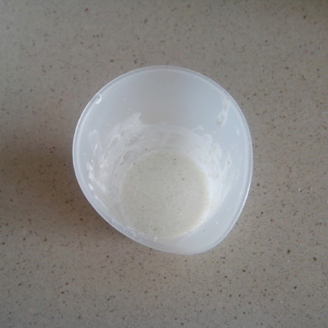 Fotografía salsa de yogurt.