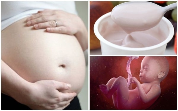 8 lợi ích đặc biệt của sữa chua cho bà mẹ mang thai 8 lợi ích đặc biệt của sữa chua cho bà mẹ mang thai
