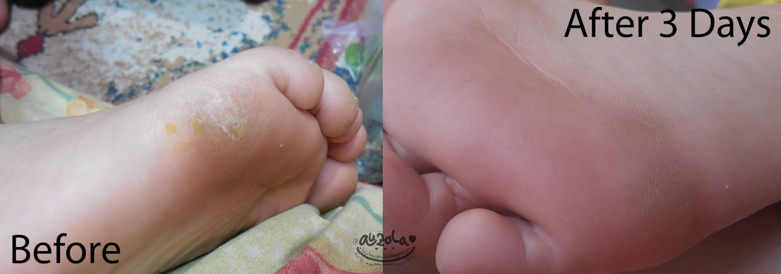 redwin sorbolene moisturiser