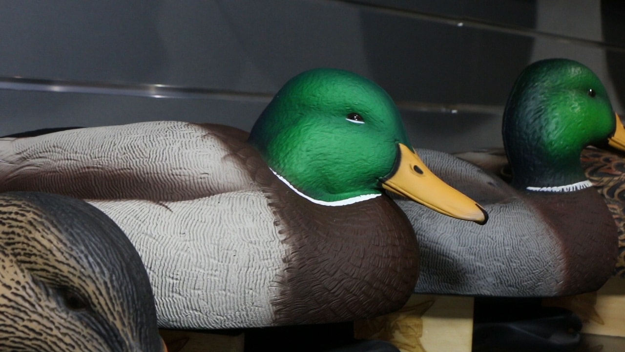 Лекала белолобого гуся. Чучела buick decoys. Чучела avian-x. Авиан х чучела уток. Чучело красноголового нырка.