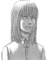 アニメ「進撃の巨人」王族(王家)の家系や記憶、正体などを説明