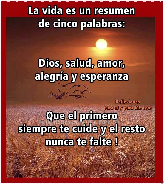 Ver las imágenes de origen