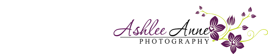 Ashlee Anne Photography, LLC.
