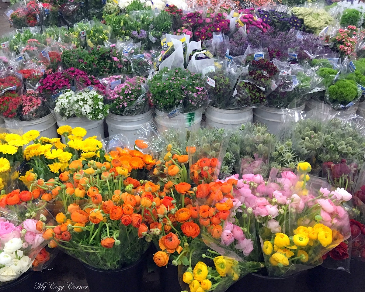 My Cozy Corner Visiting San Francisco Flower Mart