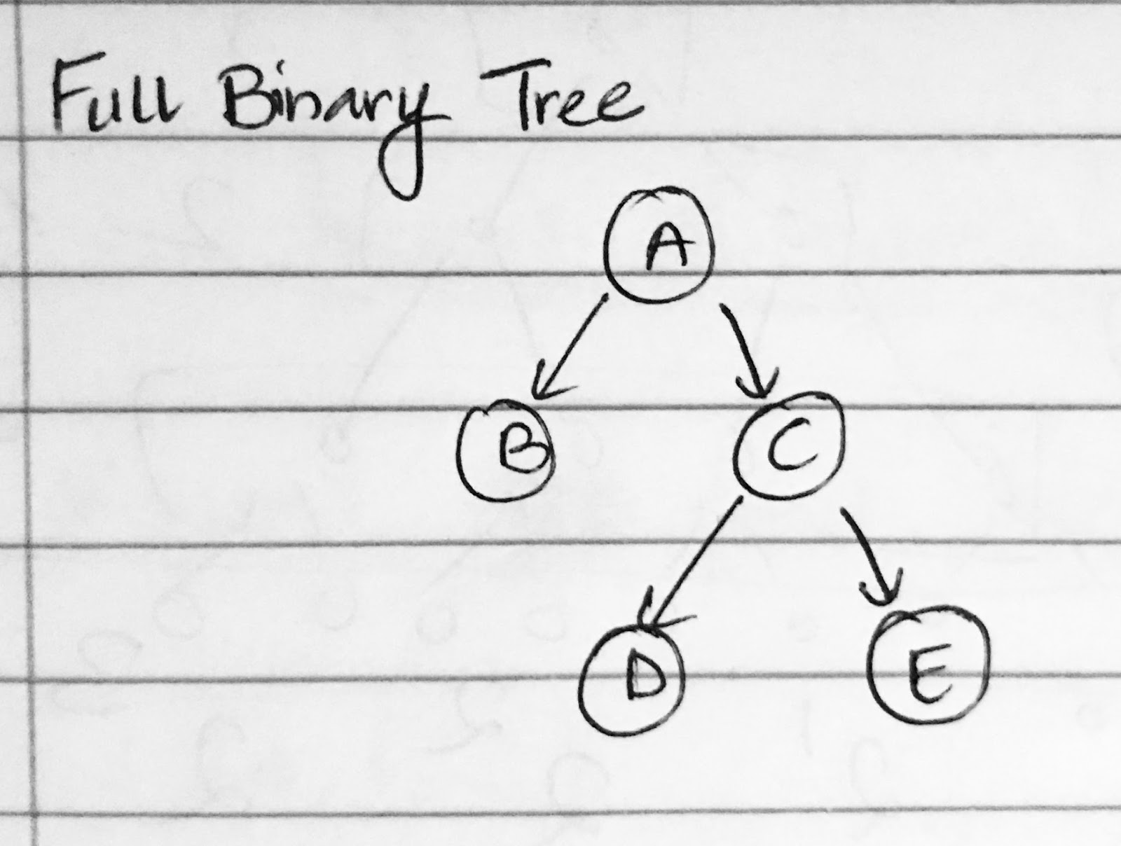 Binary Tree Types and Traversal