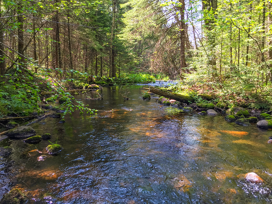 Ice Age National Scenic Trail - Plover River Segment