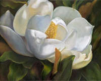 International Floral Painting Showcase